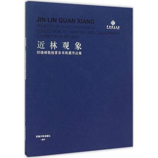 正版书籍 林观象:邵晓峰教授晋京书画展作品集邵晓峰东南大学出版社艺术中国画作品集中国当代 人天书店畅销书排行榜