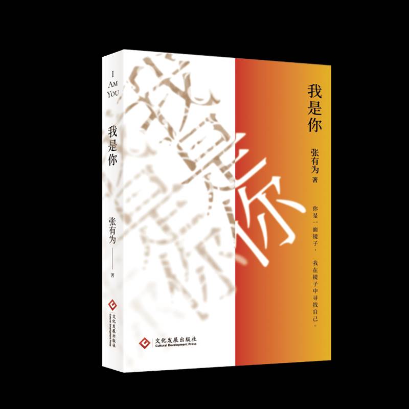 正版书籍 我是你张有为文化发展出版社小说  人天书店畅销书排行榜