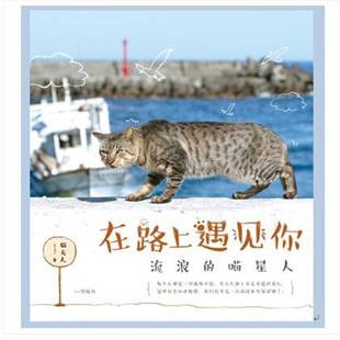 正版书籍 在路上遇见你:流浪的喵星人猫夫人测绘出版社文学  人天书店畅销书排行榜