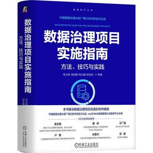正版书籍 数据治理项目实施指南:方法、技巧与实践毛大群等机械工业出版社图书  人天书店畅销书排行榜