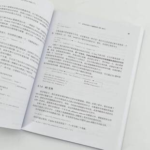 正版书籍 AI辅助编程Python实战:基于GitHub Copilot和ChatGPT利奥·波特人民邮电出版社计算机与网络 人天书店畅销书排行榜