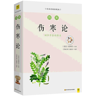 图解伤寒论 白话文彩插典藏版伤寒论张仲景正版原著伤寒杂病论解说辑义六经辨证论治伤寒学 食疗大全养生智慧中医基础理论书籍大全