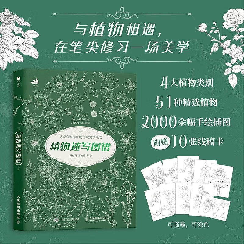 植物速写图谱植物手绘速写教程