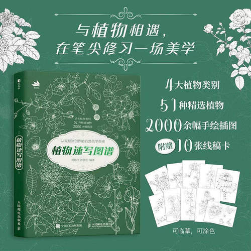 植物速写图谱植物手绘速写教程