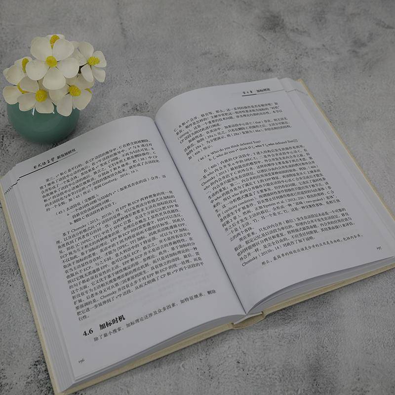 正版书籍 形式语言学新发展研究(精)程工清华大学出版社社会科学  人天书店畅销书排行榜