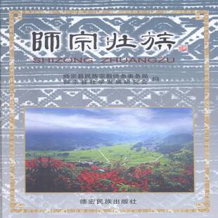 正版书籍 师宗壮族(精)张茂安德宏民族出版社历史壮族民族历史师宗县 人天书店畅销书排行榜