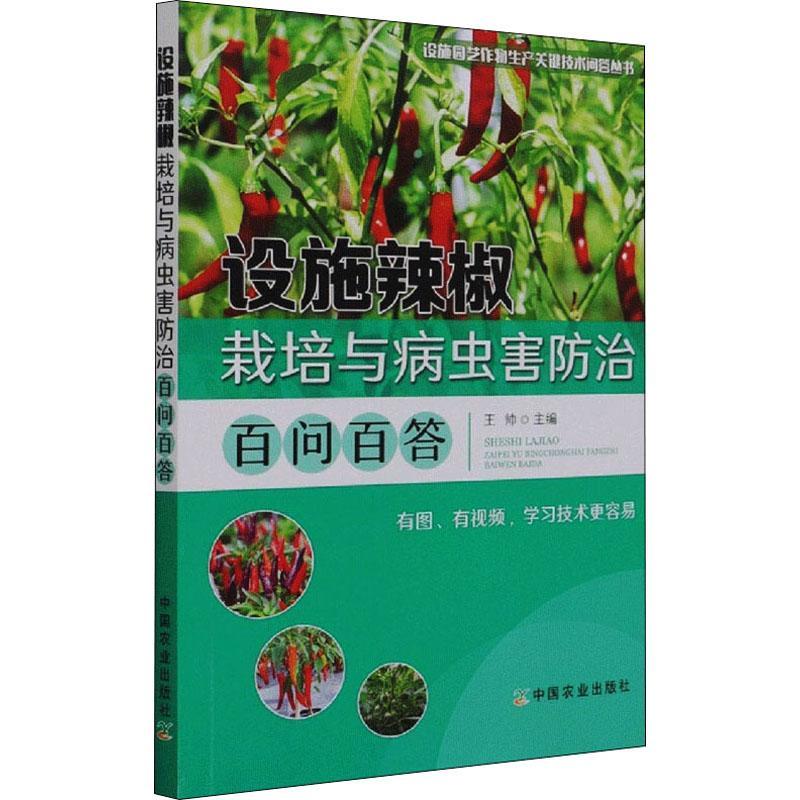 正版书籍 设施辣椒栽培与病虫害百问王帅中国农业出版社农业、林业辣椒蔬菜园艺设施农业问题解答辣普通大众人天书店畅销书排行榜