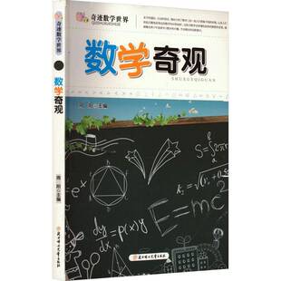 正版书籍 奇迹数学世界-数学奇观周阳北方妇女儿童出版社自然科学  人天书店畅销书排行榜