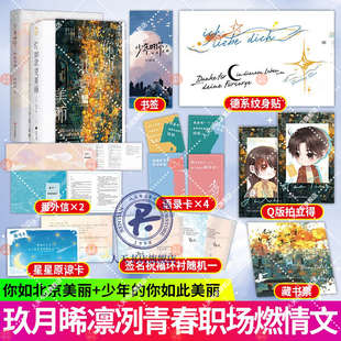 少年 系列少年 你如此美丽 亲爱 你青春热血职场甜宠文学青春小说书籍 玖月晞小说作品花火都市言情小说 你如北京美丽