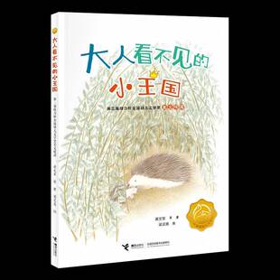 正版书籍 大人看不见的小王国:三届接力杯金波幼儿文学奖美文悦读龙向梅等接力出版社文学  人天书店畅销书排行榜