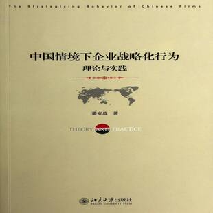正版书籍 中国情境下企业战略化行为:理论与实践:theory and pra潘安成北京大学出版社管理企业战略研究中国 人天书店畅销书排行榜