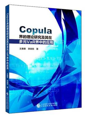 正版书籍 Copula界的理论研究及其在多元VaR界中的应用王惠惠中国财政经济出版社经济  人天书店畅销书排行榜
