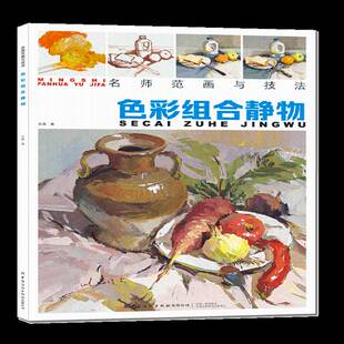正版书籍 色彩组合静物王磊中国纺织出版社有限公司艺术 参加美术基础学学生人天书店畅销书排行榜