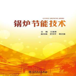 正版书籍 锅炉节能技术王海荣中国电力出版社工业技术工业锅炉节能技术本书涉及面广人天书店畅销书排行榜