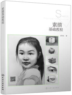正版书籍 素描基础教程王鲁光化学工业出版社艺术素描技法教材 人天书店畅销书排行榜