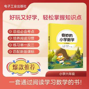 正版书籍 奇妙的小学数学（六年级）蒋守成电子工业出版社图书  人天书店畅销书排行榜