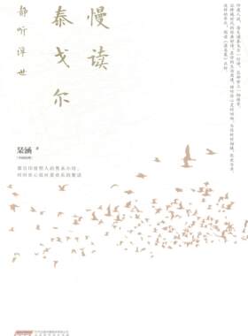 慢读泰戈尔 琹涵 泰戈尔 文学书籍