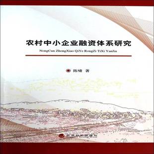 社管理农业企业中小企业企业融资研究中 农村中小企业融资体系研究陈啸经济科学出版 人天书店畅销书排行榜 书籍 正版