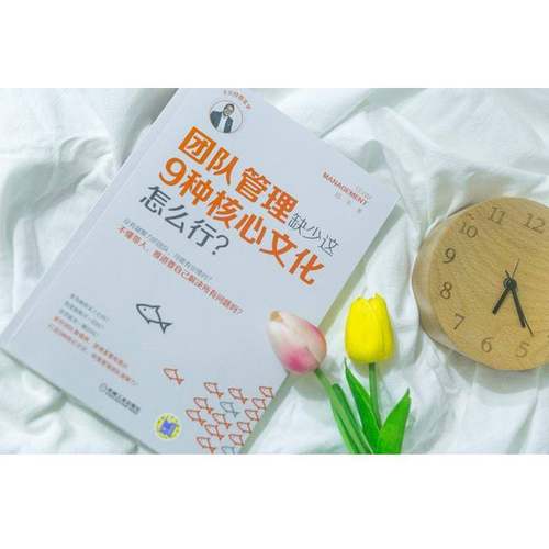 正版书籍 团队管理缺少这9种核心文化怎么行？陆丰机械工业出版社管理企业管理组织管理学 人天书店畅销书排行榜