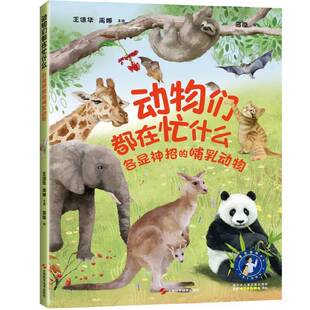 正版书籍 动物们都在忙什么-各显神招的哺乳动物王德华上海科学技术出版社自然科学  人天书店畅销书排行榜