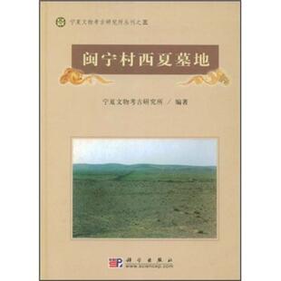 正版书籍 闽宁村西夏墓地宁夏文物考古研究所科学出版社历史墓葬发掘报告永宁县西夏大专以上人天书店畅销书排行榜