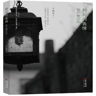 正版书籍 精神的表情：现代散文论丁晓原广东人民出版社文学散文评论中国现代 人天书店畅销书排行榜