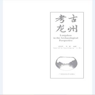 正版书籍 考古龙州杨清平广西科学技术出版社历史考古发掘概况龙州县 人天书店畅销书排行榜