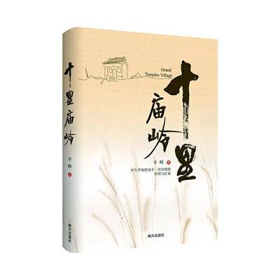 正版书籍 十里庙岭辛峰南方出版社文学  人天书店畅销书排行榜