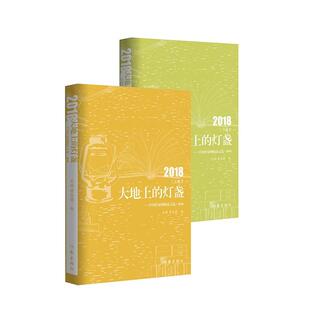 灯盏 大地上 中国作家网 2018王婉作家出版 人天书店畅销书排行榜 正版 社文学中国文学当代文学作品集 书籍