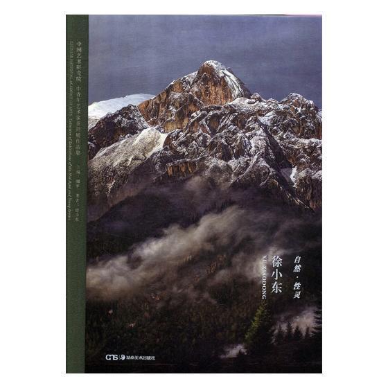 正版书籍 自然.性灵:徐小东(精)徐小东湖南社艺术油画作品集中国现代 人天书店畅销书排行榜