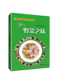 正版书籍 内蒙古野菜之味(汉蒙)高润红远方出版社农业、林业野生植物蔬菜介绍内蒙古汉蒙普通大众人天书店畅销书排行榜