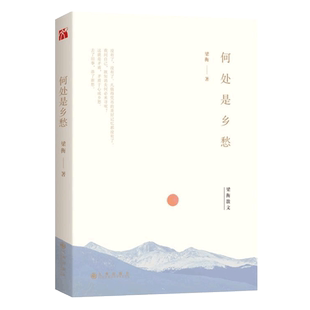 何处是乡愁 梁衡散文集 人文自然之美把栏杆拍遍梁衡作者觅渡千秋人物读书心得中学生读本提高阅读水平作文写作技巧课外阅读书籍