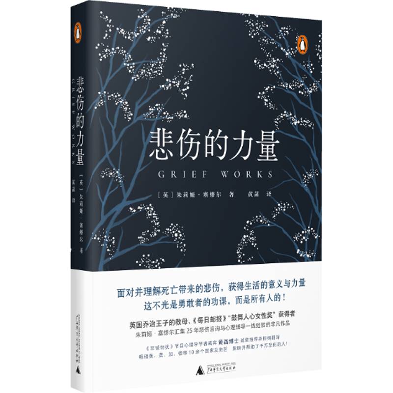 正版书籍 悲伤的力量朱莉娅·塞缪尔广西师范大学出版社社会科学心理状态自我控制心理学爱好者人天书店畅销书排行榜