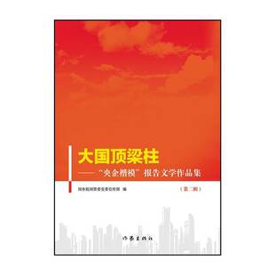 正版书籍 大国顶梁柱: