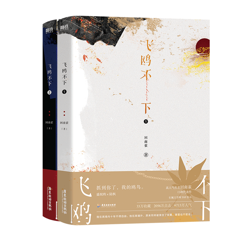 正版书籍 飞鸥不下(全2册)回南雀广东旅游出版社小说  人天书店畅销书排行榜