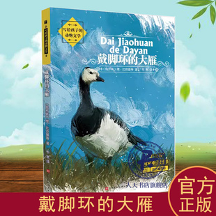 大雁 正版 包郵 戴腳環 書籍 兒童小說