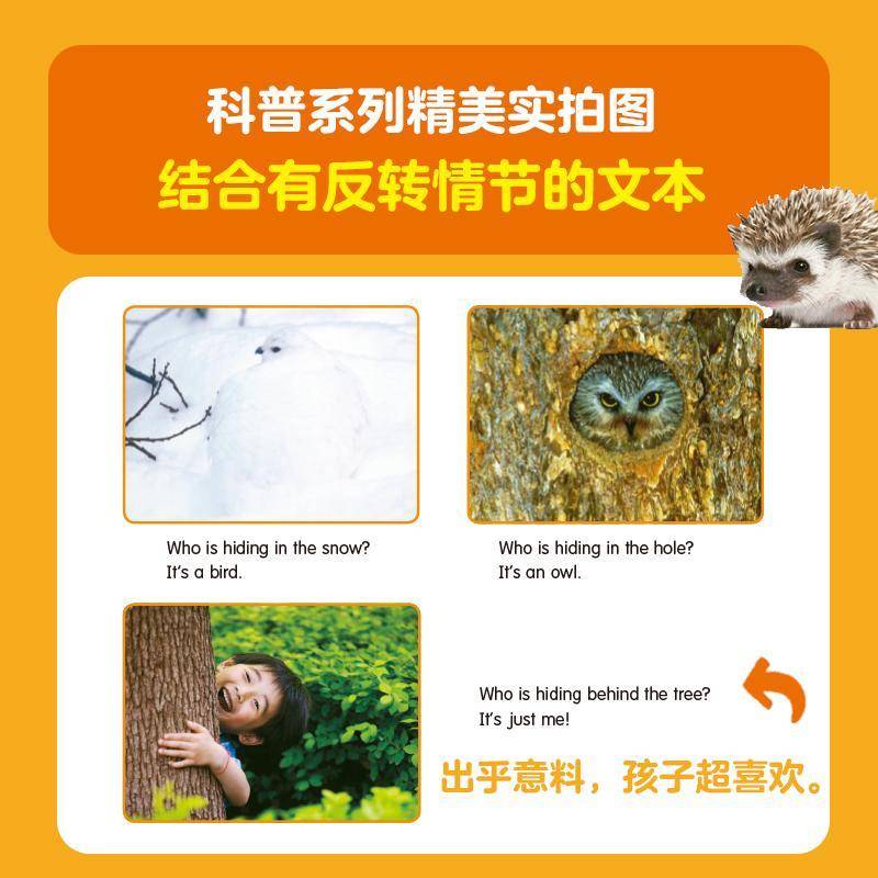 正版书籍 学乐小读者英语分级阅读:科普系列:D级美国学乐集团中信出版集团股份有限公司中小学教辅  人天书店畅销书排行榜图片