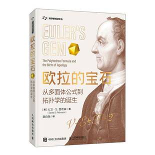 正版书籍 欧拉的宝石:从多面体公式到拓扑学的诞生:the polyhedron f大卫·里奇森人民邮电出版社自然科学 人天书店畅销书排行榜