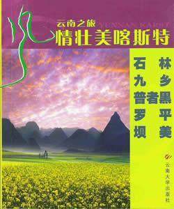 风情壮美喀斯特:石林 九乡 普者黑 罗平 坝美:[中英文对照] 张帆 导游云南省摄影集 旅游地图书籍