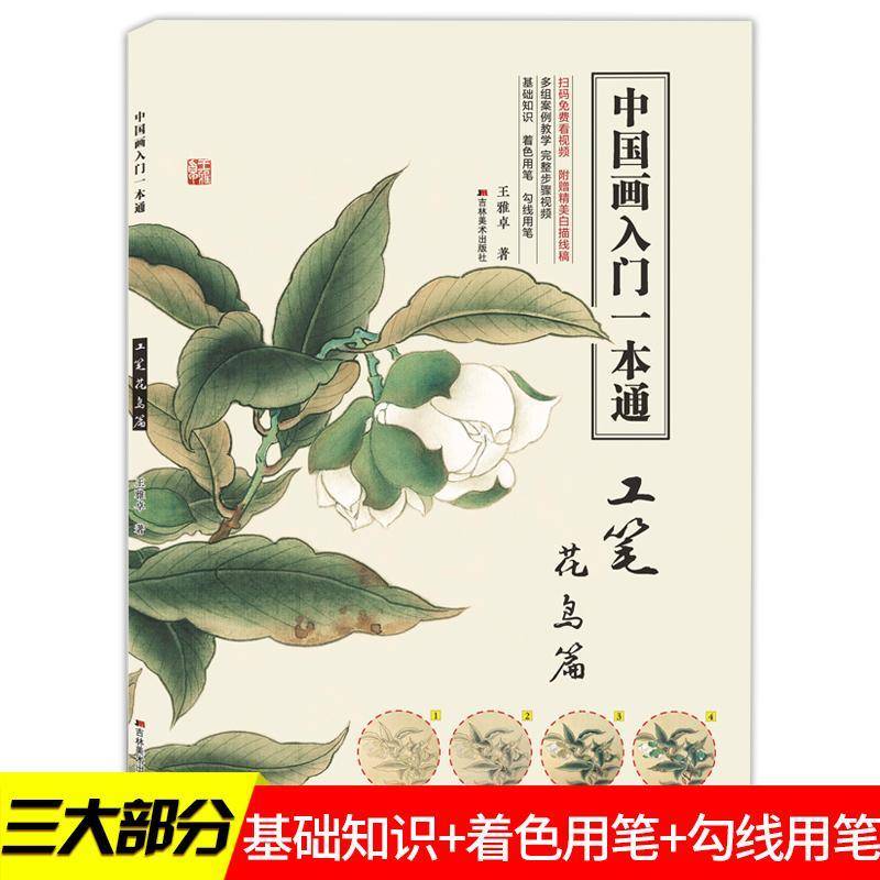 正版书籍 中国画入门一本通-工笔花鸟篇王雅卓吉林社有限责任公司艺术  人天书店畅销书排行榜