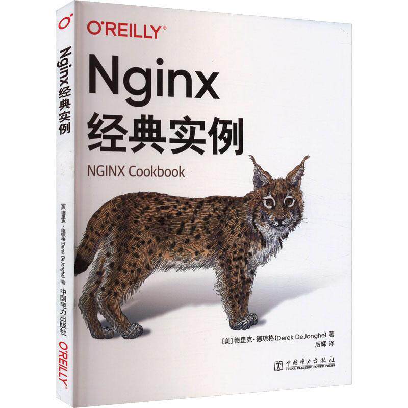 正版书籍 Nginx经典实例德里克·德琼格中国电力出版社计算机与网络  人天书店畅销书排行榜