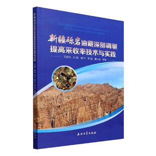 正版书籍 砾岩油藏深部调驱提高采收率技术与实践王延杰等石油工业出版社工业技术  人天书店畅销书排行榜