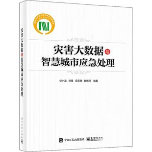 城市災害管理應急對策 自然科學書籍 徐小龍 災害大數據與智慧城市應急處理