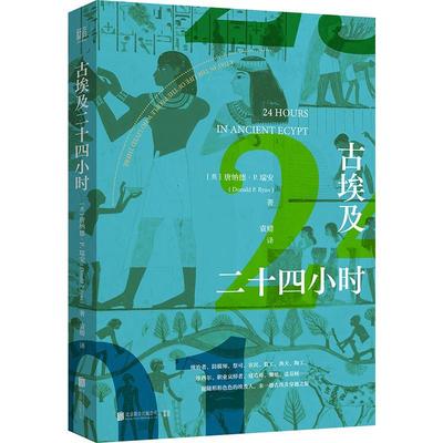 古埃及二十四小时 唐纳德·瑞安   小说书籍