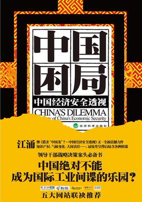正版书籍 中国困局:中国经济透视:anatomy of China's economi江涌经济科学出版社经济经济国家安全研究中国 人天书店畅销书排行榜