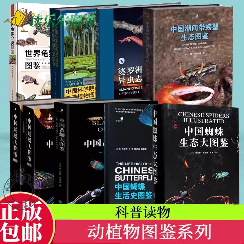 正版书籍 中国鸟类生态大图鉴郭冬生重庆大学出版社自然科学鸟类中国图解 人天书店畅销书排行榜