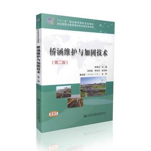 桥涵维护与加固技术 姚国文 桥涵工程维修职业教育教材 交通运输书籍