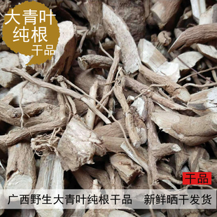 广西野生路边青根大青叶根叶臭大青纯根干品500克包邮