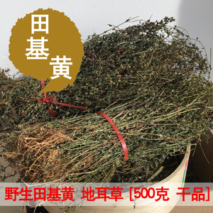 野生田基黄干品广西地耳草雀舌草黄花草无硫500克包邮