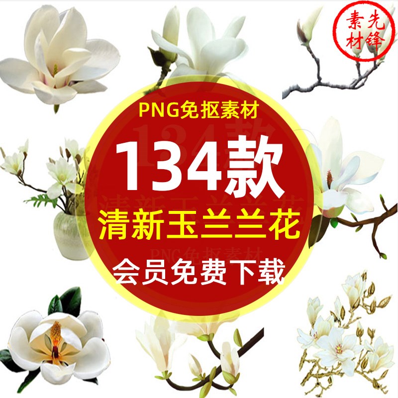 白色玉兰花花卉花朵背景插图PNG免抠图片 清新玉兰花装饰插图素材